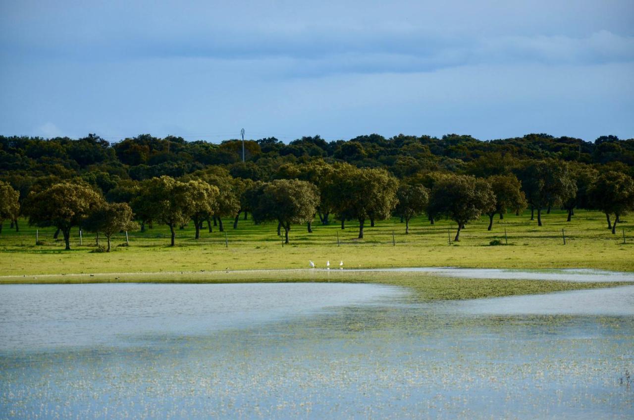 Apartmán Cerro Cincho Rural Peraleda de la Mata Exteriér fotografie