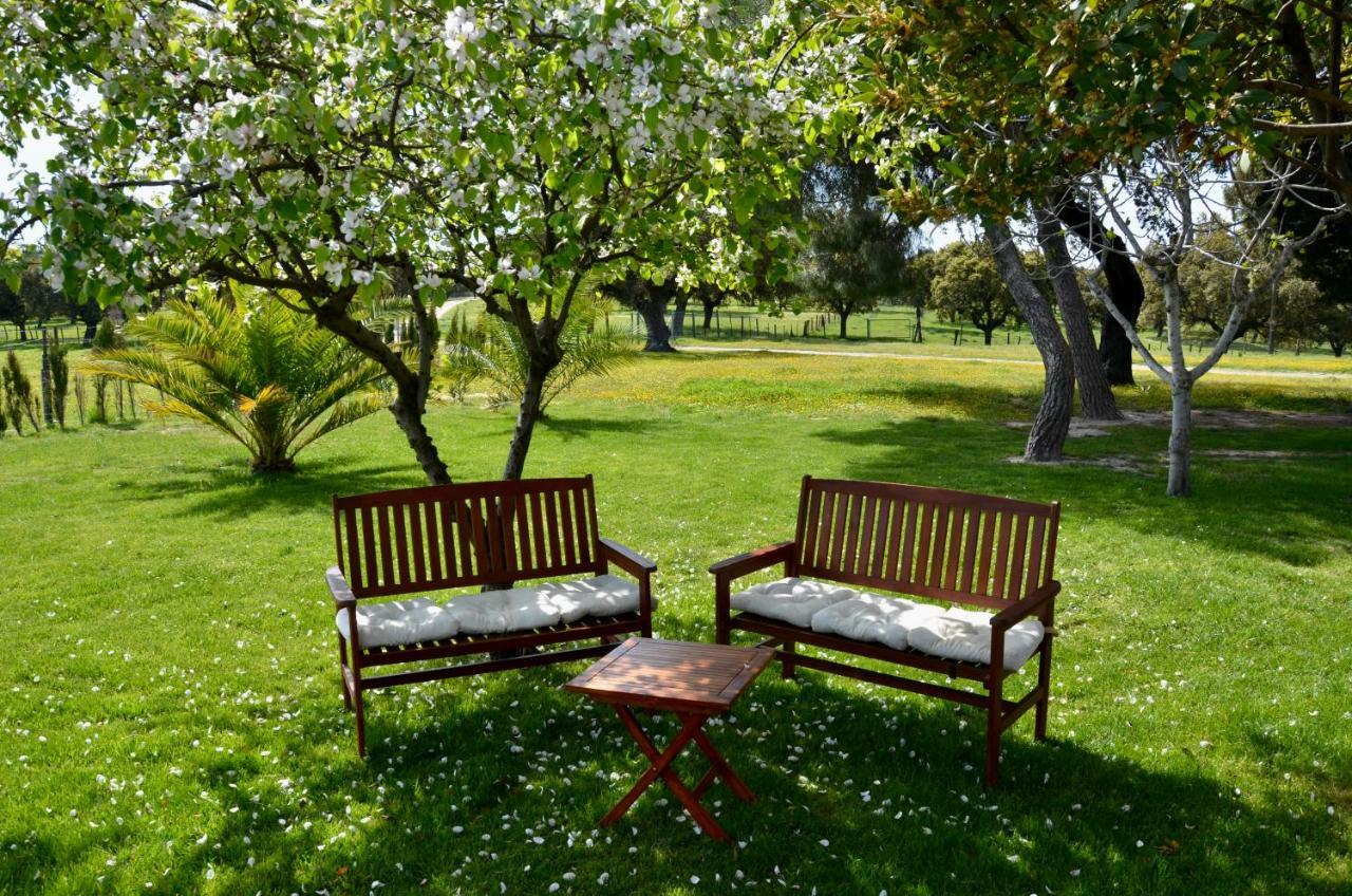 Apartmán Cerro Cincho Rural Peraleda de la Mata Exteriér fotografie